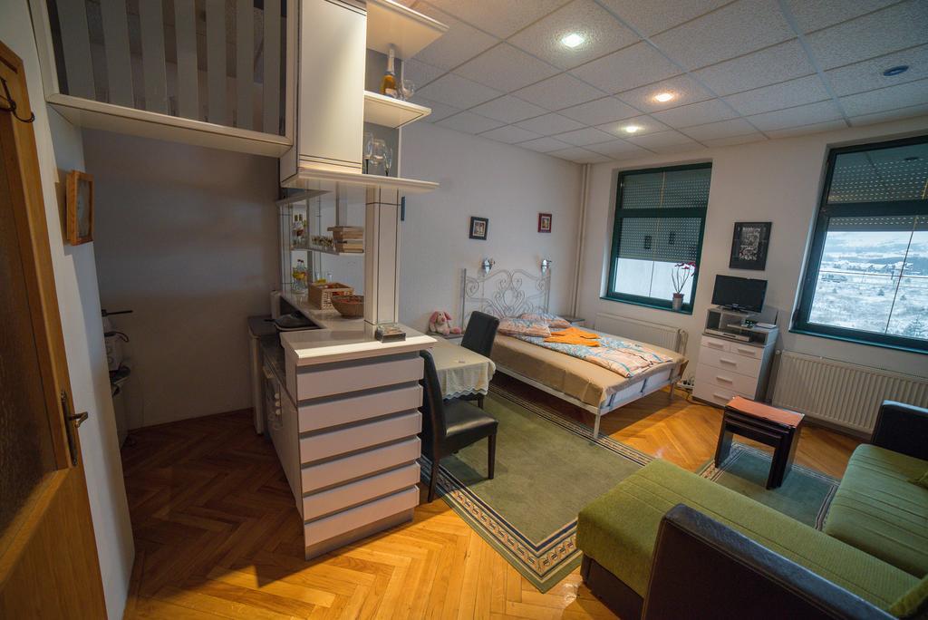 Downtown Zlatibor Apartment 外观 照片